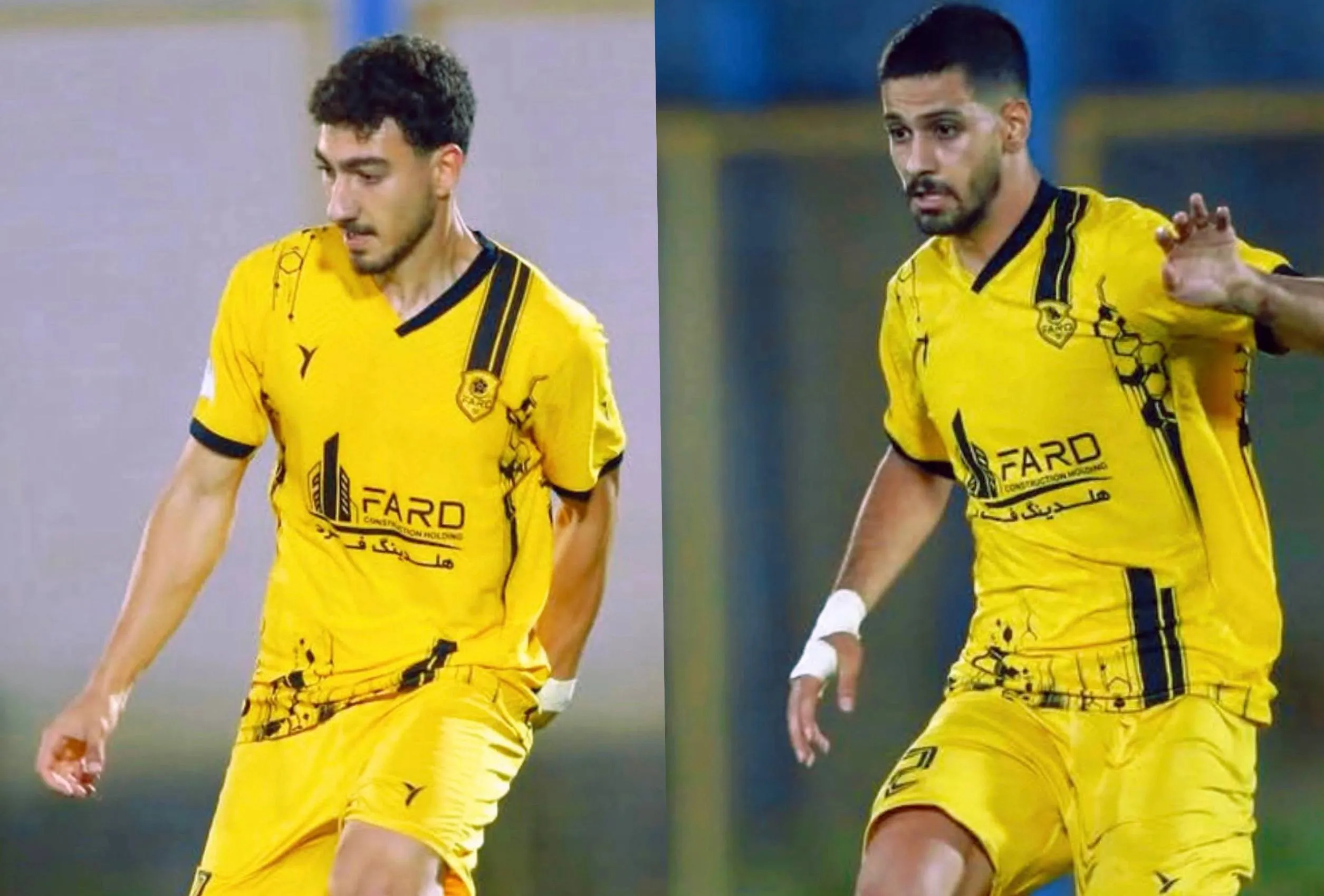 فرد البرز 