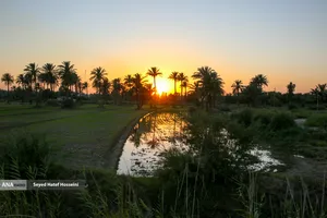شور اربعین