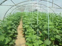 تربیت متخصصان کارآفرین در حوزه کشاورزی و صنایع غذایی با نگاه نوآورانه