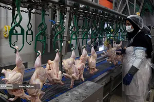 آغاز واردات ریلی مواد اولیه داروی دامپزشکی از چین 