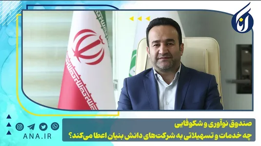 صندوق نوآوری و شکوفایی چه خدمات و تسهیلاتی به شرکت‌های دانش بنیان اعطا می کند؟