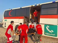 انحراف از جاده اتوبوس حامل زائران ایرانی/ ۴۳ نفر مصدوم شدند