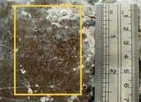 کشف «کوچکترین» سنگ نوشته باستانی دنیا با قدمتی ۱۶۰۰ ساله در ایران