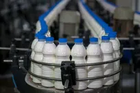 تاکید وزیر رفاه بر اهمیت تداوم تولید و حمایت از معیشت مردم