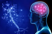 Study: Poor metabolic health may accelerate brain aging in young adults