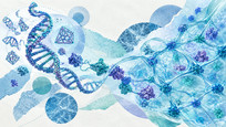 DNA&ndash;protein Hydrogels could enable adaptive smart materials