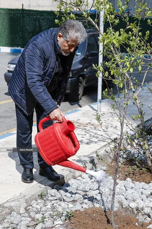 کاشت نهال امید