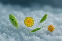 میکروب‌هایی که بهار را رقم می‌زنند