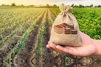 سهم تسهیلات بانکی بخش کشاورزی ۱۰.۸ درصد تعیین شد