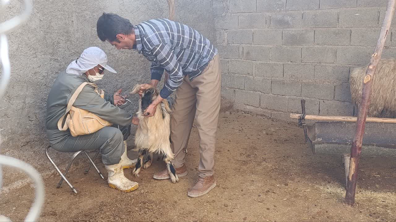 وقتی جهادگران داراب کنار عشایر رکنآباد ایستادند وقتی جهادگران داراب کنار عشایر رکنآباد ایستادند