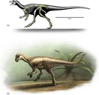 کشف گونه جدیدی از دایناسور در اندازه سگ