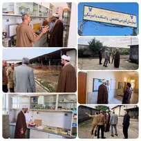 تأکید معاون فرهنگی دانشگاه آزاد بابل بر تسهیل مسیر رشد علمی و مهارتی دانشجویان