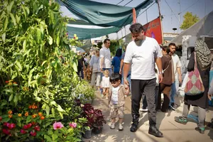 بازار گل محلاتی