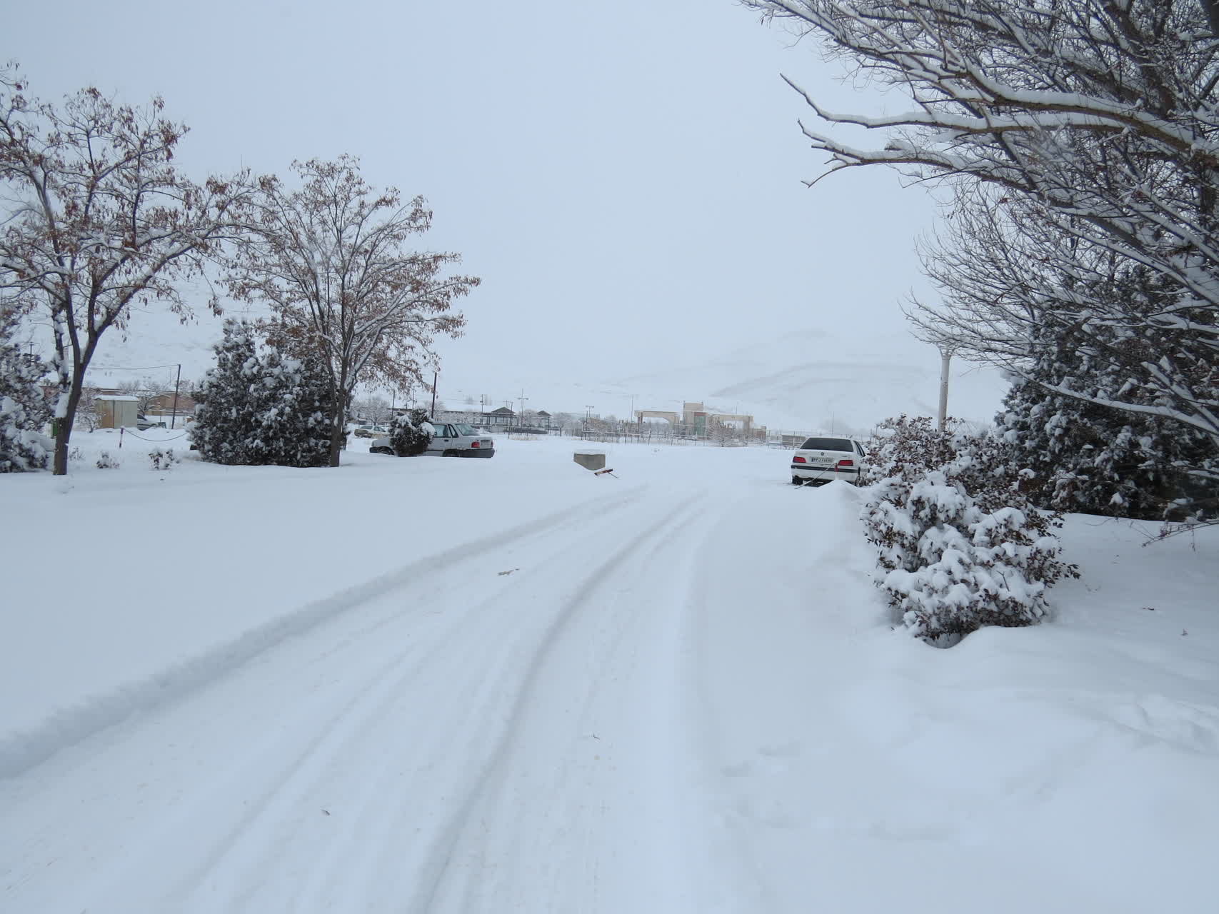 بارش برف زمستانی در واحد بین الملل ماکو؛ کوه آرارات در پوشش سپید