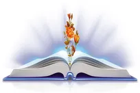 توکل و بصیرت؛ راهکارهای قرآنی برای مهار اضطراب