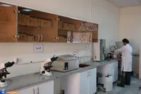 ۳ مؤلفه دستیابی به دانشگاه پژوهش‌مدار کدامند؟