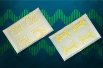 AI Helps Turn Bacteria into Biological “Transistors”