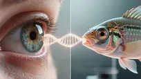 کلید درمان نابینایی انسان در دست ماهی‌ها