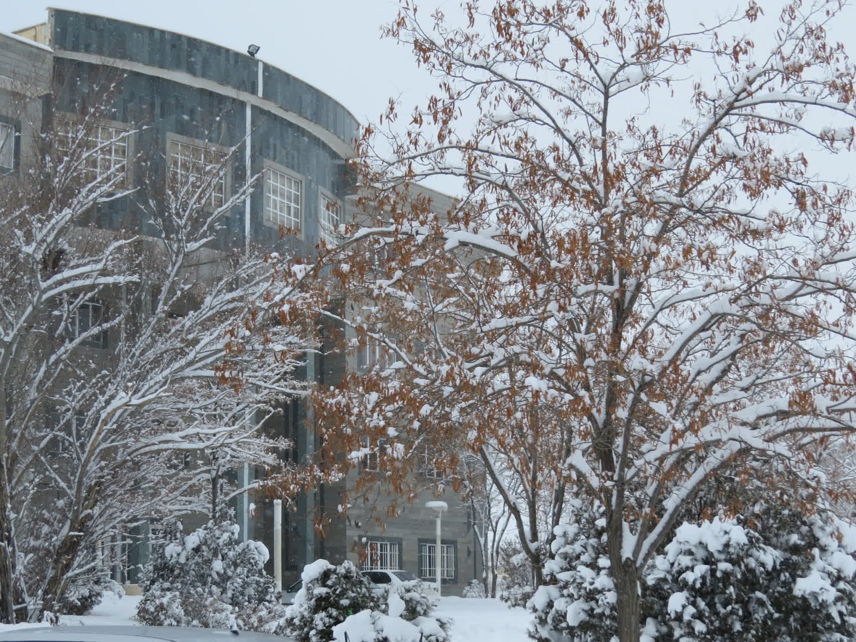 بارش برف زمستانی در واحد بین الملل ماکو؛ کوه آرارات در پوشش سپید