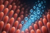 شاید انسان روزی از «راست روده» نفس بکشد