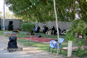 پیاده روی زائرین اربعین حسینی از طریق العلما