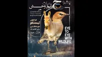 رویداد «چشم در چشم حیات‌وحش» برگزار می‌شود/ خلق آثار با الهام از مشاهدات میدانی در قلب زیستگاه‌ها