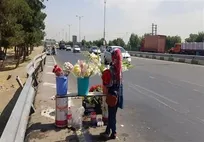 تعیین تکلیف گل‌فروش‌های بهشت زهرا و بازار ۱۵ خرداد