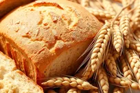 قارچی که می‌تواند ارزش غذایی گندم را چندبرابر کند