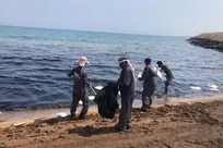 مهار آلودگی نفتی در سواحل قشم و هنگام در حال تکمیل است
