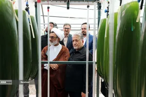  بازدید دکتر رنجبر و حجت&zwnj;الاسلام&zwnj;والمسلمین خسروپناه از مراکز فناوری و تحقیقاتی دانشگاه آزاد اسلامی واحد اصفهان 