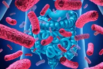 نقش میکروب‌ها در سلامتی انسان