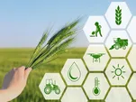 ۸۵ درصد نیاز غذایی کشور در داخل تولید می‌شود