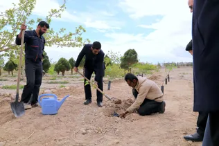غرس نهال درختان مثمر در دانشگاه آزاد اسلامی سمنان / تجدیدمیثاق دانشگاهیان با آرمان‌های شهدا