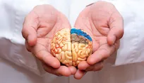 Study reveals brain’s defense against Alzheimer’s
