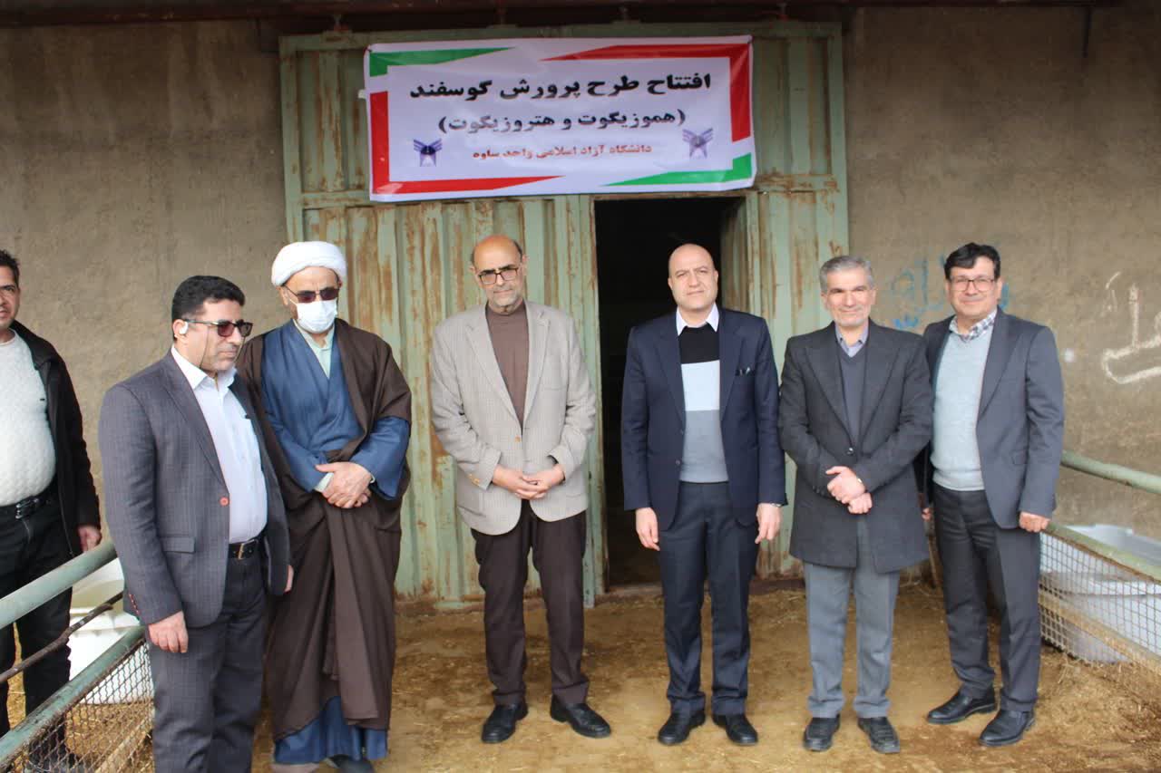 تولید گوسفند چندقلوزا در ساوه؛ گامی بلند برای درآمدزایی پژوهش‌محور دانشگاه آزاد
