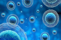 Liposomal dietary supplement developed as adjunctive support for ADHD