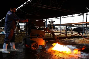 خودکفایی در تولید شیر