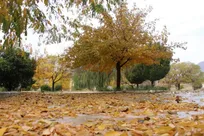 خرم‌آباد-در-یک-روز-پاییزی