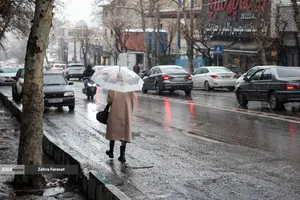 بارش برف زمستانی در تهران 