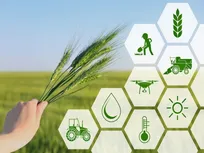 تقویت بنیان‌های اقتصادی و تاب‌آوری در بخش کشاورزی با اقتصاد مقاومتی