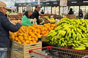 جنگ آمریکا و اسراییل علیه ایران باعث بحران غذایی و انرژی در جهان