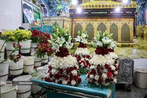 تور رسانه&zwnj;ای اهالی رسانه در حرم حضرت معصومه(س)