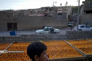 خُرو؛ پایتخت آلوی ایران