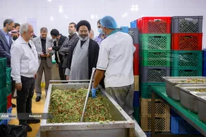 بازدید حجت الاسلام سید عبدالفتاح نواب سرپرست حجاج ایرانی از روند خدمت رسانی به زائران حج