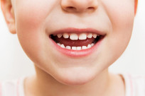 Japan begins clinical trial of tooth-regrowth drug