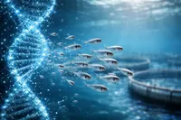 شرکت دانش‌بنیان ایرانی هرمون‌های موردنیاز در تکثیر ماهی‌ها را بومی‌سازی کرد