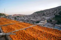 خُرو؛ پایتخت آلوی ایران