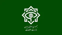 وزارت اطلاعات: ۲۵ مزدور دشمن آمریکایی - صهیونی در استان های مرکزی و گلستان بازداشت شدند