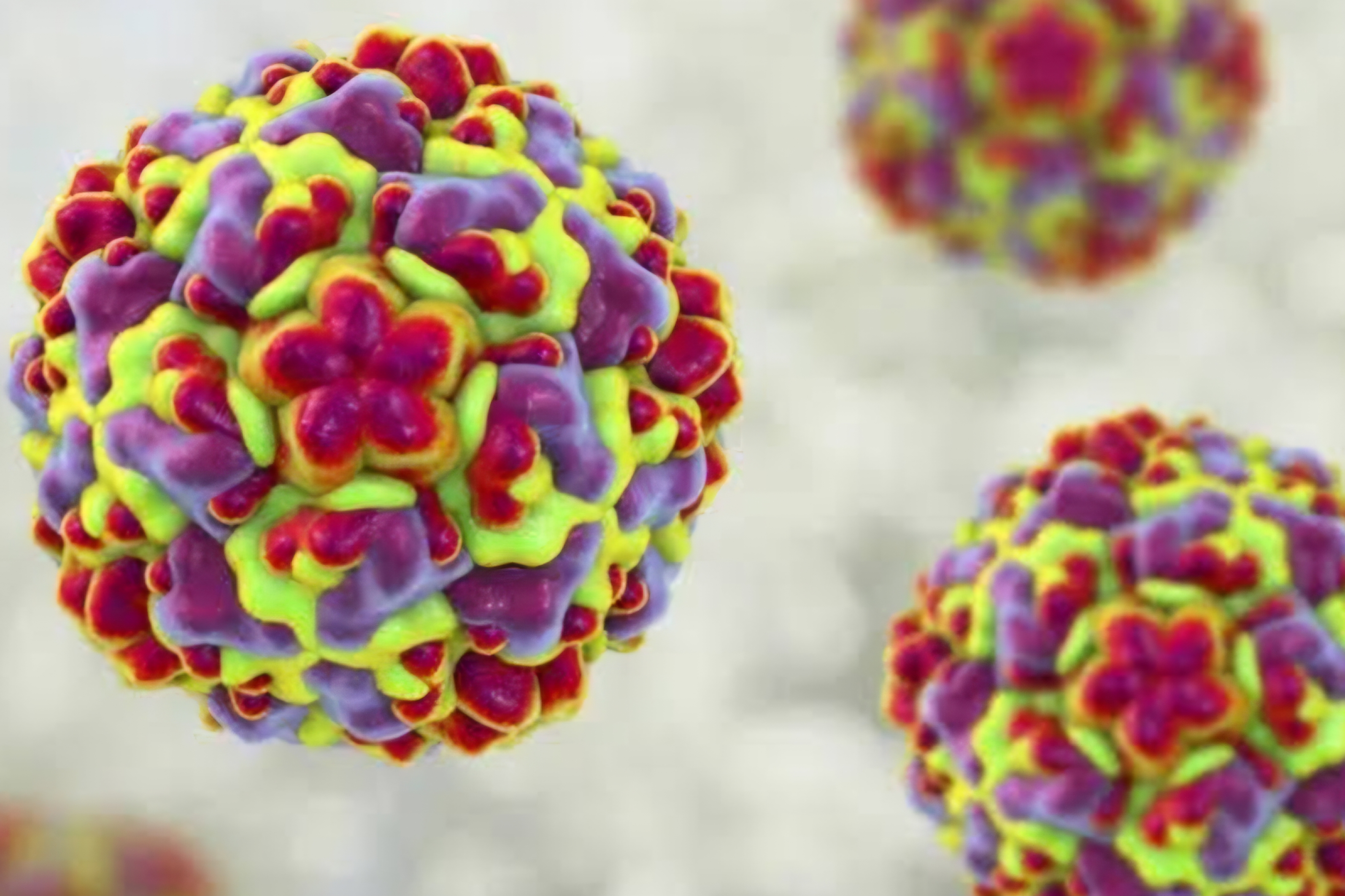 راینوویروس