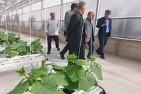 بازدید معاون فناوری دانشگاه آزاد از گلخانه هیدروپونیک واحد علوم و تحقیقات